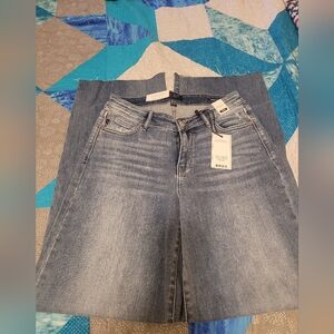 Judy Blue Light Wash Flare Jeans